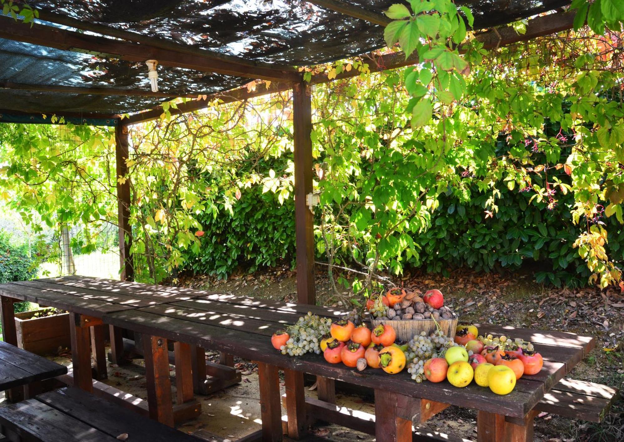 Country House Nonna Rana Cannara Ngoại thất bức ảnh